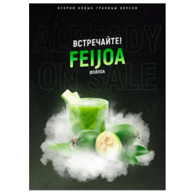 Табак 4:20 Feijoa (Фейхоа) 100 грамм Felix Shop