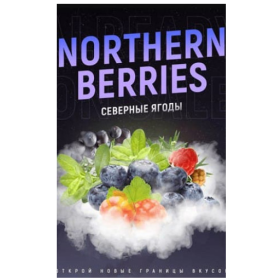 Табак 4:20 Northern Berries (Северные ягоды) 100 грамм Felix Shop