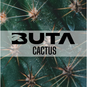 Табак Buta Cactus (Бута Кактус) 50 грамм Felix Shop