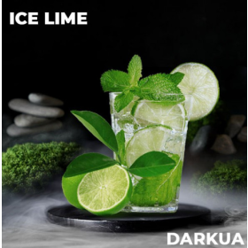 Табак DARKUA Ice Lime (Дарк ЮА Айс Лайм) 100 грамм Felix Shop