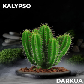 Табак DARKUA Kalypso (Дарк ЮА Кактус) 100 грамм Felix Shop