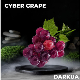 Табак DARKUA Cyber Grape (Дарк ЮА Виноград Мята) 100 грамм Felix Shop