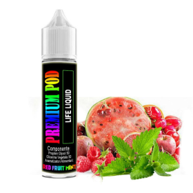 Жидкость Premium Pod Red Fruit Mint (Красный Фрукты Мята) 10мл Felix Shop