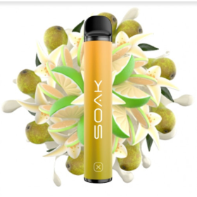 Электронная сигарета Soak 1500 Vanilla Pear (Соак Ванильная Груша с Лаймом) 2% Felix Shop