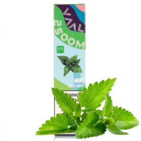 Электронные сигареты VAAL 2500 Mint (Велл) Мята Felix Shop