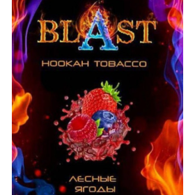 Табак Blast (Бласт) Лесные Ягоды 100г Felix Shop