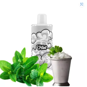 Картридж Lost Mary Psyper 2500 Mint (Мята) Felix Shop