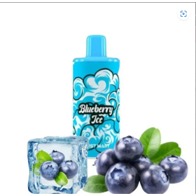 Картридж Lost Mary Psyper 2500 Blueberry Ice (Черника) Felix Shop