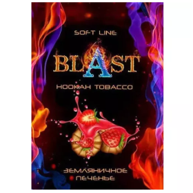 Табак Blast Soft Berry Cookies (Ягодное Печенье) 50гр Felix Shop