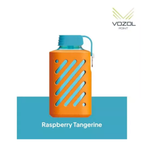 Электронная cигарета Vozol 10000 Raspberry Tangerine (Малина Мандарин) Felix Shop
