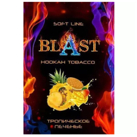 Табак Blast Soft Exotic Cookies (Тропическое Печенье) 50гр Felix Shop