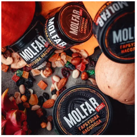 Табак Molfar Chill Line Гарбузова Насолода (Тыква Пряности) 100 гр Felix Shop