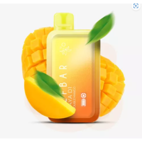 Электронная сигарета Elf Bar RAYA D1 13000 Double Mango (Двойной Манго) Felix Shop