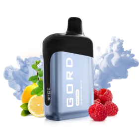 Электронная сигарета Gord 6500 Raspberry Mojito (Малиновый Мохито) Felix Shop