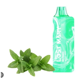 Электронная сигарета Lost Mary MO5000 Mint (Мята) Felix Shop