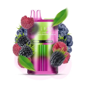 Электронная сигарета Elf Bar BC20000 Wild Berries Crawler (Лесные Ягоды) Felix Shop